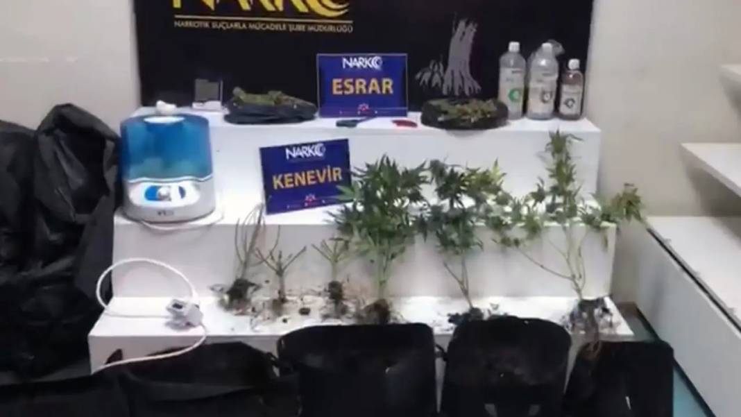 Adana’da Uyuşturucu Serası Kurdu! Savunması Pes Dedirtti 4